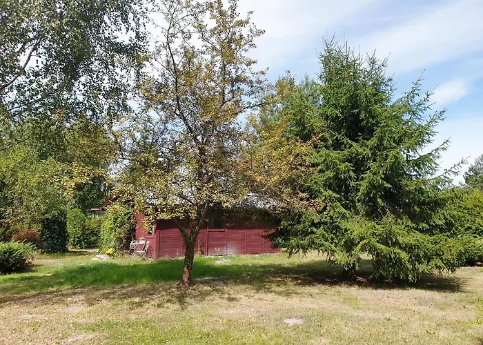 Letniskowy Nowy Prażmów * Prazmow Nowy