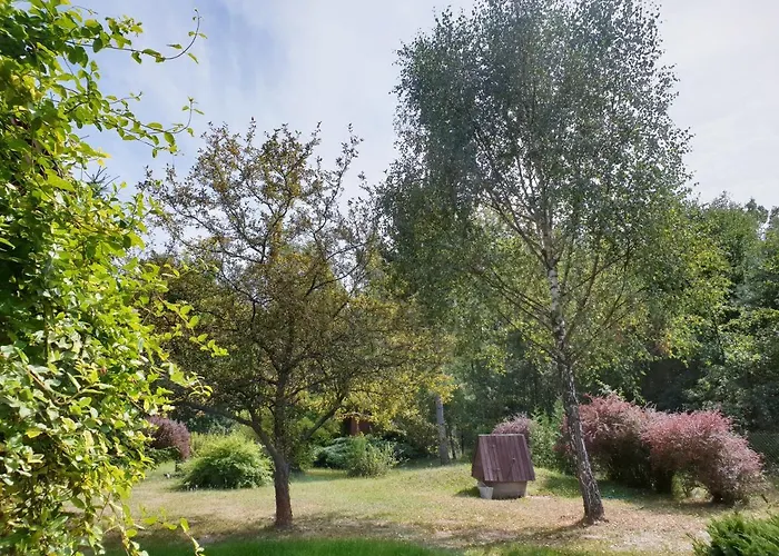 Letniskowy Nowy Prażmów * Prazmow Nowy