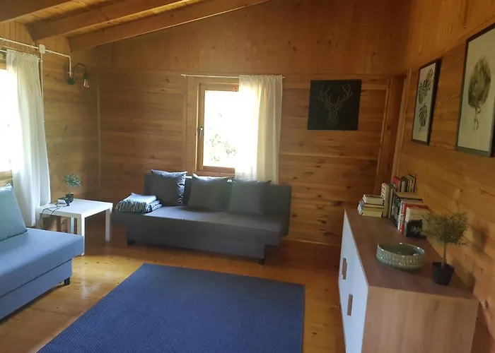 Letniskowy Nowy Prażmów Сasa de vacaciones Prazmow Nowy